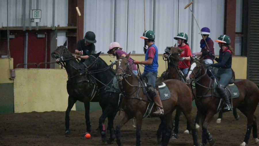 Members of the Colorado State University polo team play a scrimmage prior to their season-opening game