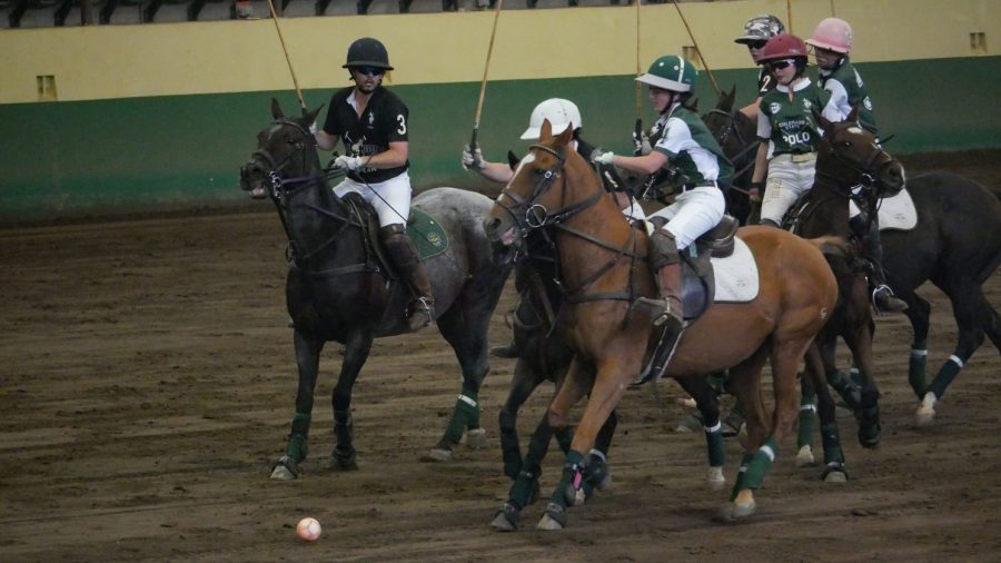 Members of the Colorado State University polo team play their opening match against the California Polytechnic State University Mustangs