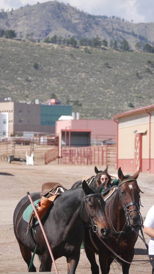 Colorado State University polo team horses are lead into B.W. Pickett Arena