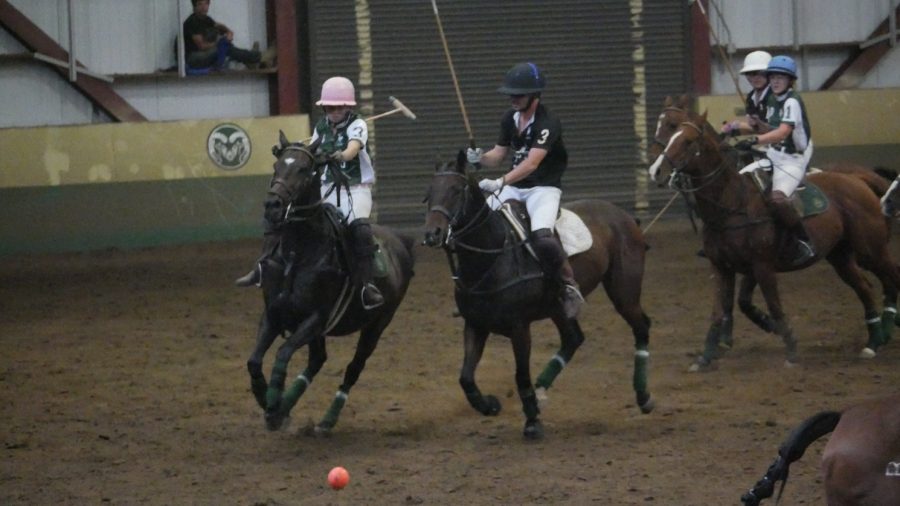 Colorado State University varsity polo team member Willow Longerbeam chases after a loose ball during the CSU polo team's game against California Polytechnic State University