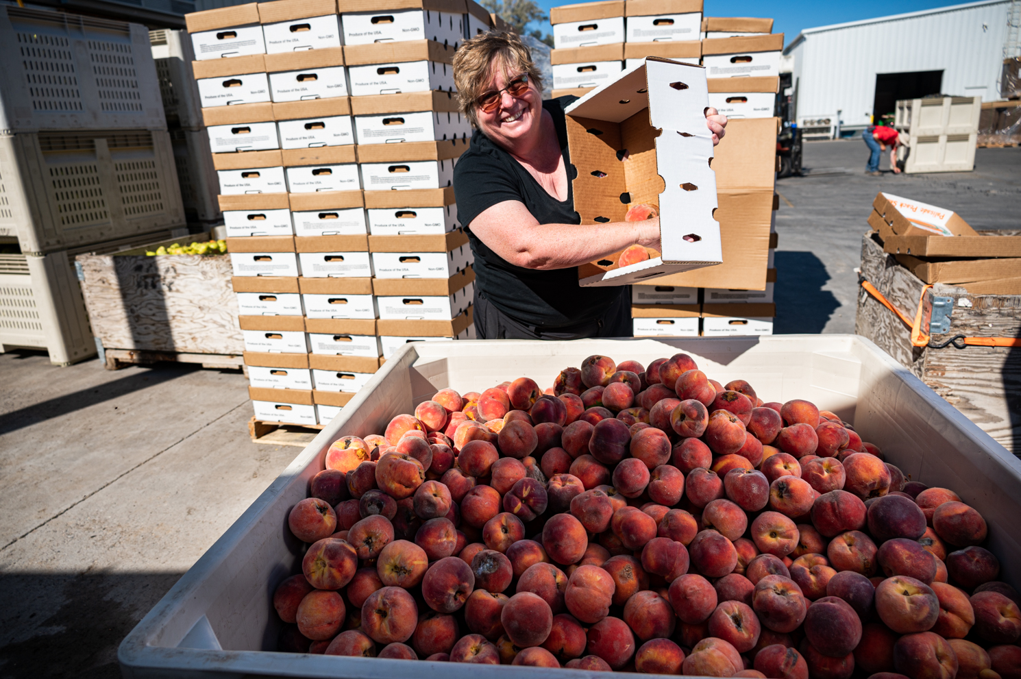 Palisade Peaches: Delicious Colorado History