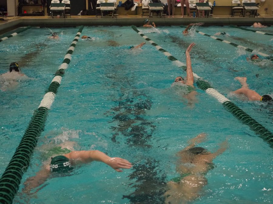 Members of the Colorado State and Wyoming swim teams warm up Nov. 5.