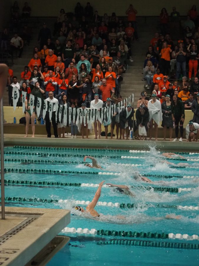 Members of the Colorado State and Wyoming swim teams compete in the 500 yard freestyle event Nov. 5.