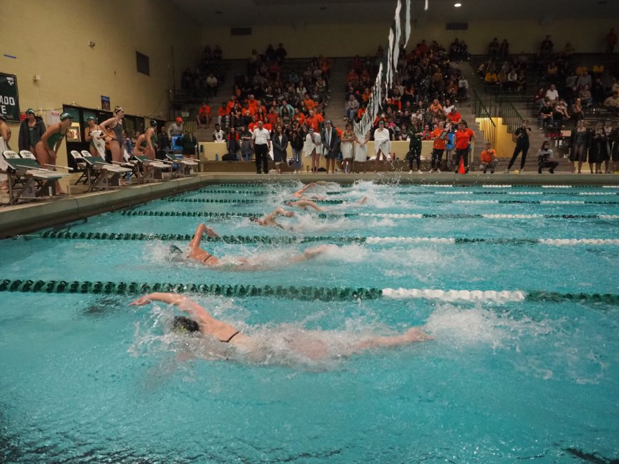 Members of the Colorado State and Wyoming swim teams compete in the 500 yard freestyle event Nov. 5.
