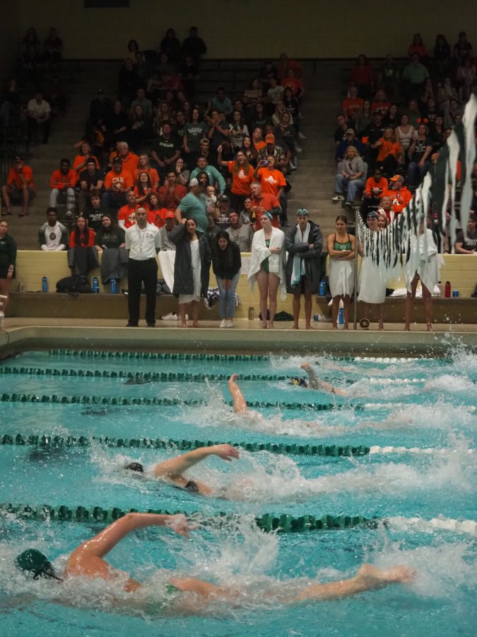 Members of the Colorado State and Wyoming swim teams compete in the 500 yard freestyle event Nov. 5.