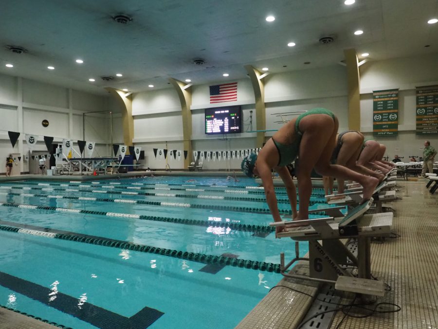 Swimmers for Colorado State and Wyoming line up to compete in the 500 yard freestyle swim event Nov. 5.