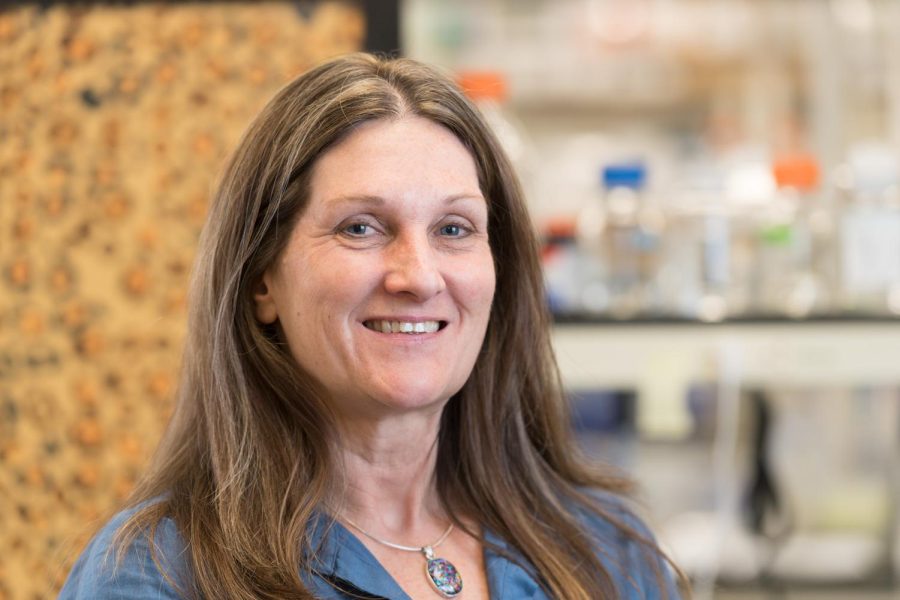 Colorado State University Microbiology, Immunology and Pathology professor Susan VandeWoude poses for a portrait at her laboratory May 2, 2019.