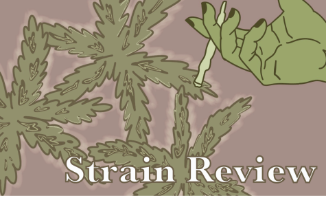 Strain Review: Enjoying Sour Diesel, fueling the high in every puff