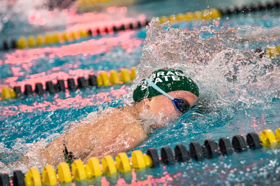 A Colorado State University swimmer competes in the 400-yard freestyle relay finals in the Butler-Hancock Pool at the University of Northern Colorado invitational Jan. 27. The Colorado State Rams won 185.5-113.5.