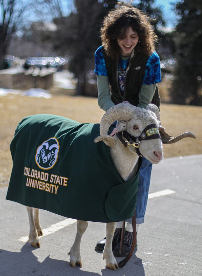 Colorado State University first-year Brandon Feffer holds CAM the Rams reins to pose for a photo on the Lory Student Center West Lawn