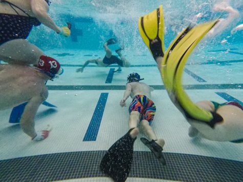 Underwater hockey players searches to find the puck at Edora Pool Ice Center (EPIC) Feb. 7.