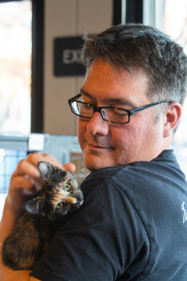 Christopher Sanford, owner of the NoCo Cat Cafe in Loveland, Colorado, pets a kitten Feb. 25. Our mission is to get cats adopted, but our goal within that mission is to try to help families find the right fit, said Sanford.