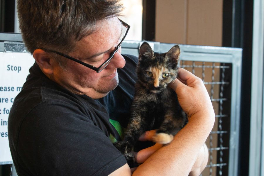 Christopher Sanford, owner of the Noco Cat Café, holds a kitten at the café Feb. 25. Our mission is to get cats adopted, said Sanford.