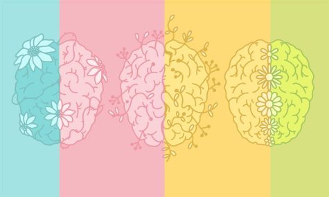 Eckburg: ADHD, autism diagnoses increase, include women in criteria