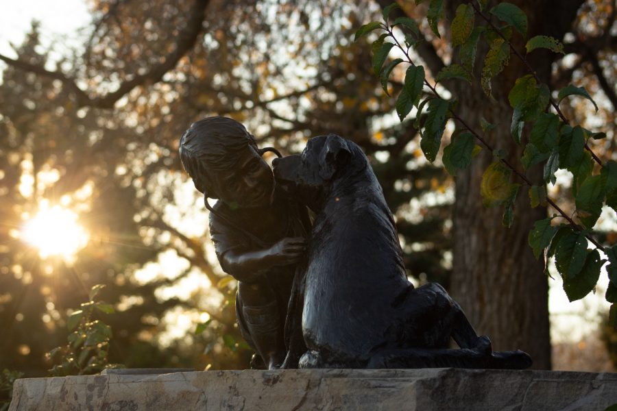 Statue of a child treating a dog Located outside the entrance of James L. Voss Veterinary Teaching Hospital Campus.