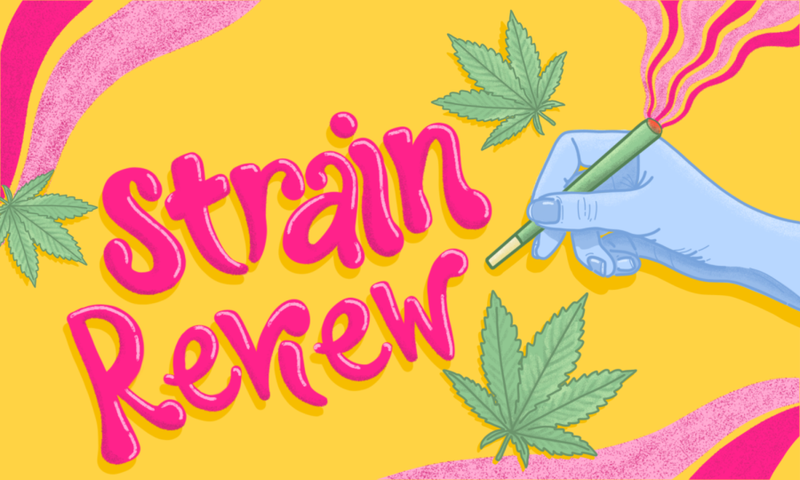 Strain+Review%3A+Mishawaka+Jazz+Cabbage%3A+Poudre+Canyon+musical+high