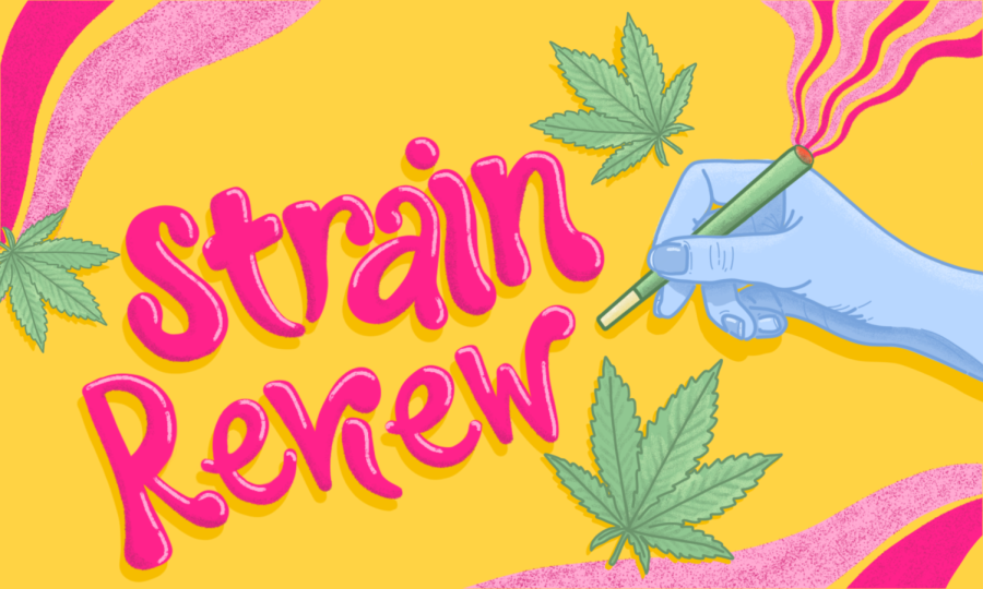 Strain+Review%3A+Point+Break%2C+Dixie%2C+Binske+made+spiritual+Easter+Sunday