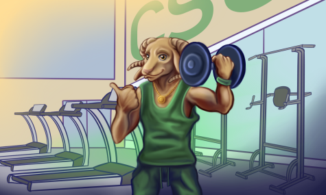 5 gyms to run to instead of CSU Rec
