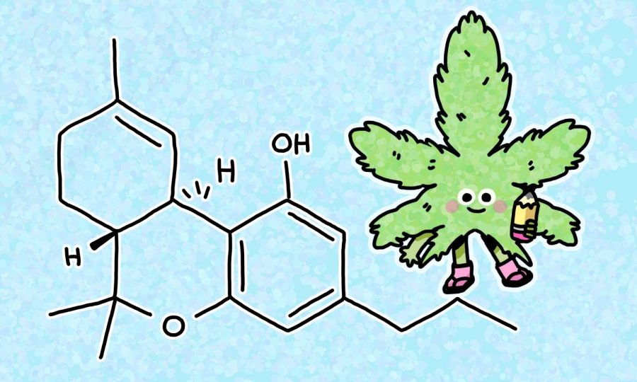 Newly popular cannabinoid CBN shows treatment potential