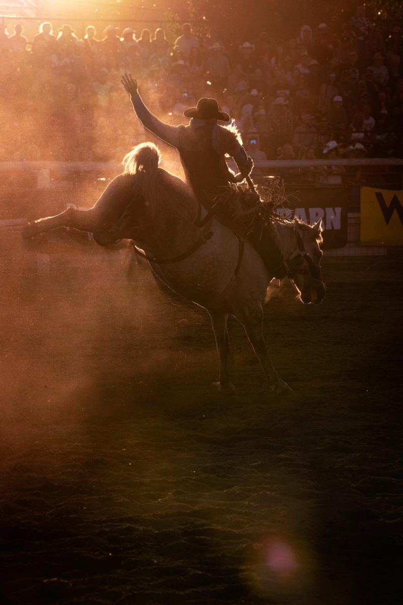 A saddle Bronc rider competes in the Gunnison Colorado Professional Rodeo Cowboys Association 123rd annual Cattlemens Days Patriot Night Rodeo July 14.