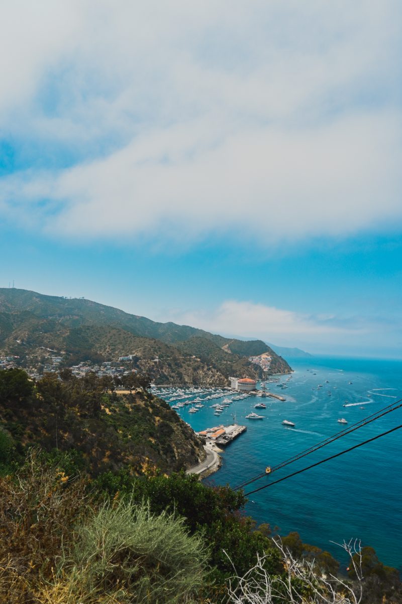 Mountaintop views from the west side of Catalina Island, where travelers from around the world set off to sea from Los Angeles, California, June 1.
