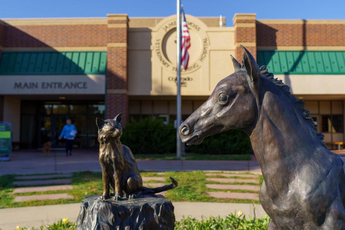 A horse foal and cat sculpture outside the main enterance to the James L. Voss Veterinary Teach Hospital Oct. 6. The hospital was built in 1979 and is named after the former dean of the College of Veterinary Medicine and Biomedical Sciences.
