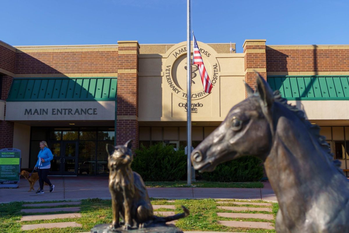 A horse foal and cat sculpture outside the main entrance to the James L. Voss Veterinary Teach Hospital Oct. 6. The hospital was built in 1979 and is named after the former dean of the College of Veterinary Medicine and Biomedical Sciences.