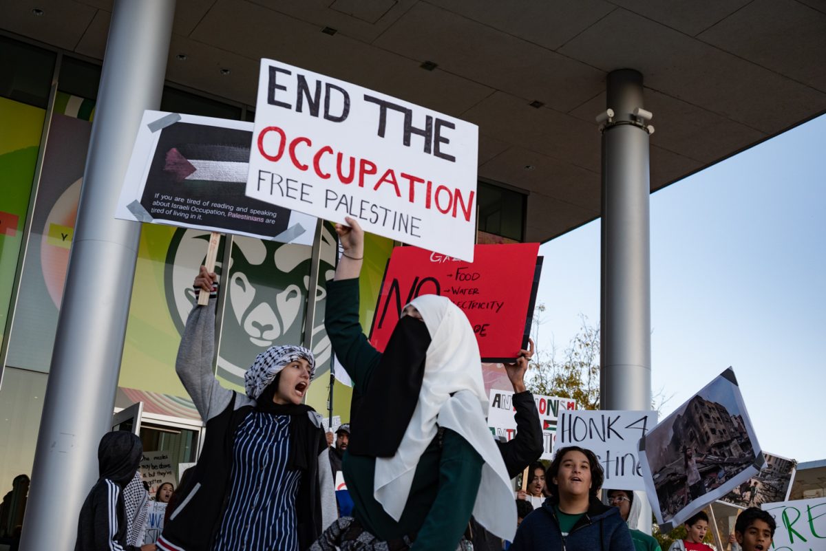 Shay Jennings walks with fellow protesters at a 'Freedom for Palestine Protest'.