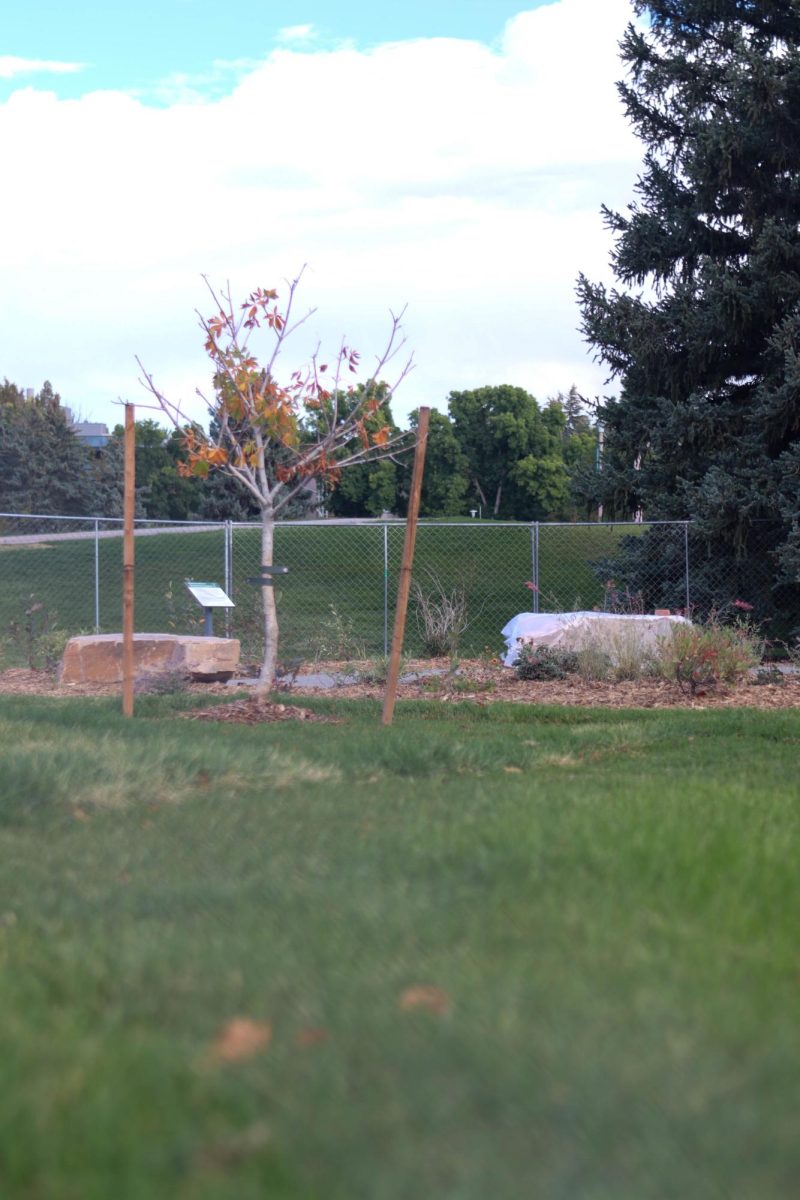 Colorado State University new Peace Corps Tribute Garden, located outside of the Lory Student Center, west of the theater. Oct. 2.