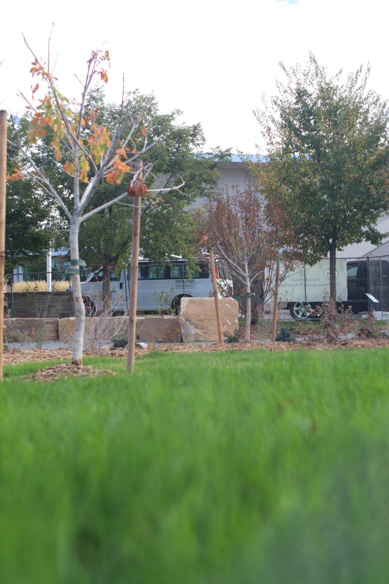 Colorado State University new Peace Corps Tribute Garden, located outside of the Lory Student Center, west of the theater. Oct. 2.