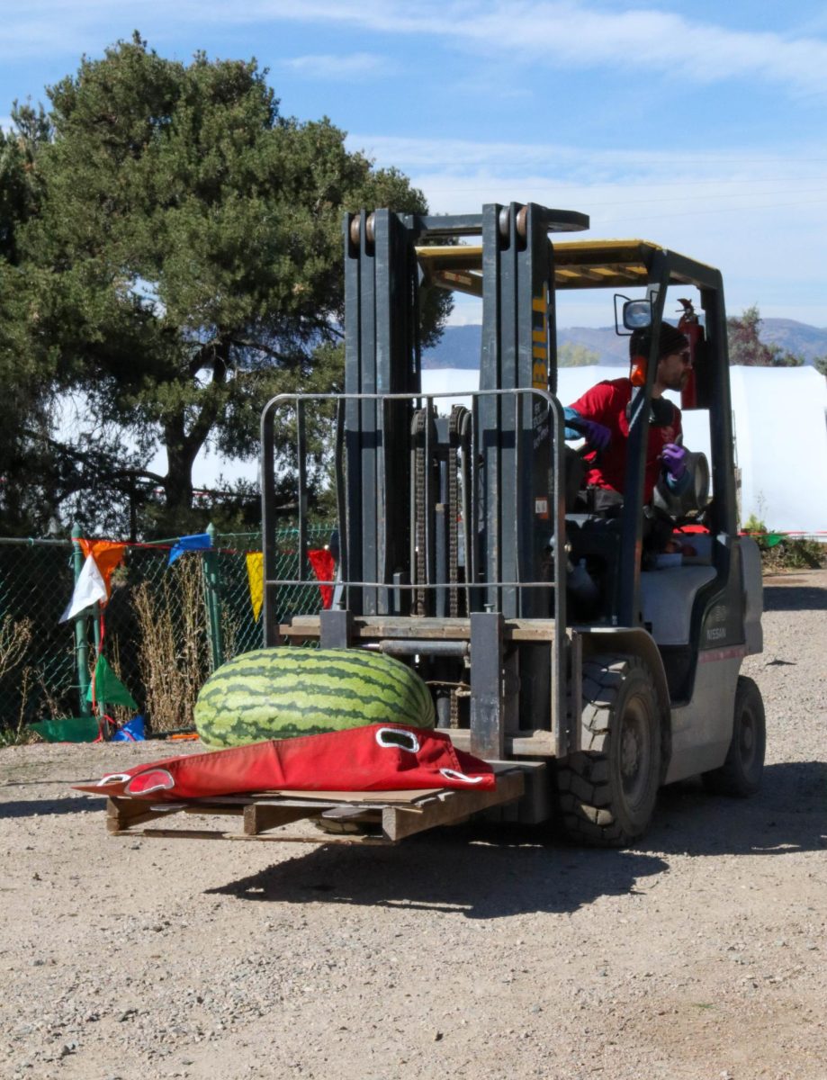 A giant watermelon entry is lifted from a vehicle and moved to the show area at the Fort Collins Nursery's Giant Pumpkin Weight-Off on Oct. 14, 2023.