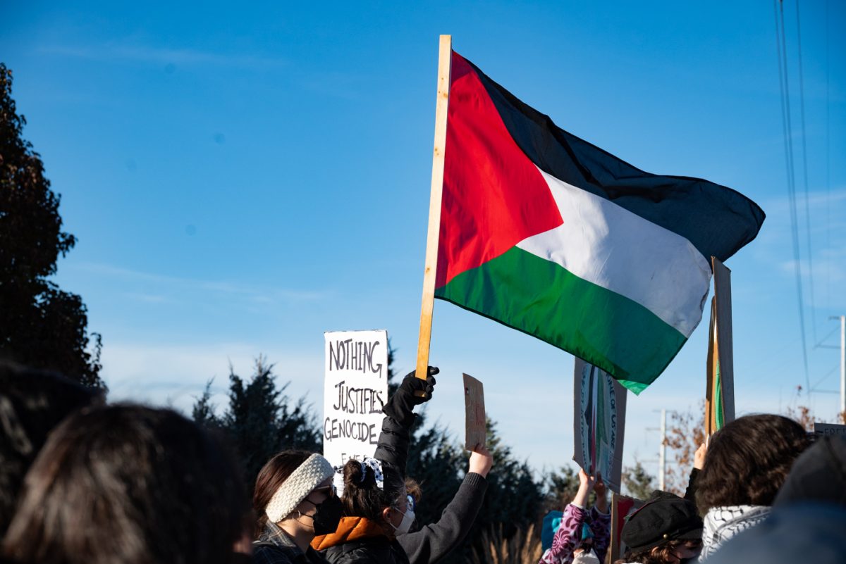 A+protestor+holds+up+a+Palestinian+flag+at+the+Die-In+at+Woodward+protest.