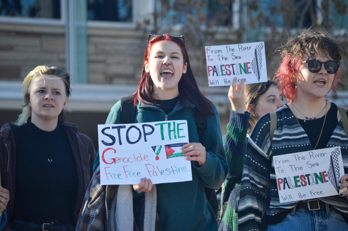 Gabriella, a student protestor who only provided her first name, holds a sign calling for a ceasefire between Israel and Hamas at the Free Palestine Protest at the Lory Student Center. Student protestors gathered on Nov. 10 to protest the war between Israel and Hamas. 