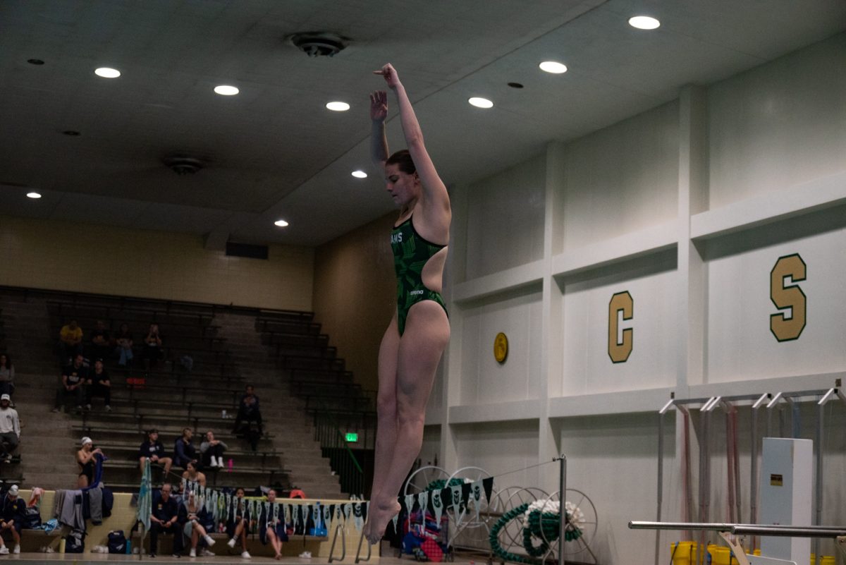 Sophomore Maggie Di Scipio bounces off the 1-meter springboard at Colorado State University's meet against the University of Northern Colorado.