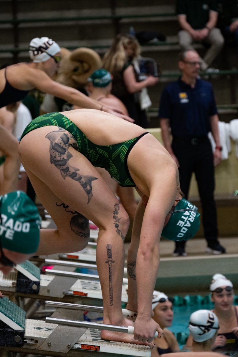 Senior Megan Hager prepares to dive into the water during warmups at Colorado State University's Moby Pool before the meet against the University of Northern Colorado.