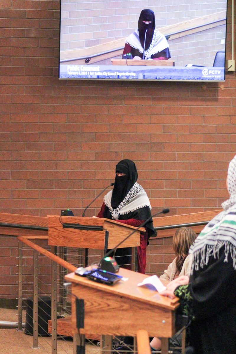 (Shay?) addresses the Fort Collins City Council about the genocide occurring in Gaza as well as her own experiences.