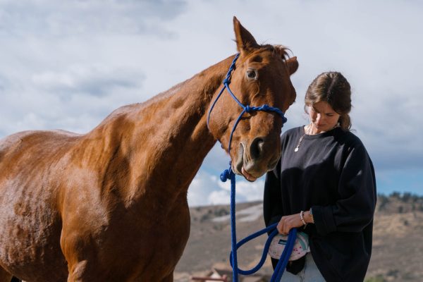Right Horse Program horse Sylt sticks her tongue out while standing beside her trainer, Sierra Moore, during a class session at the Temple Grandin Equine Center Oct. 11, 2023. Horses are rewarded with treats when they correctly complete a behavior asked of them.