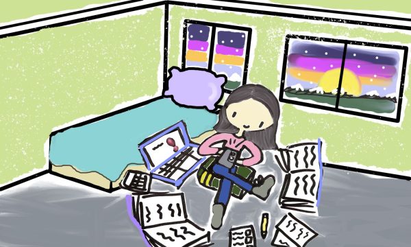 Pavelko: Despite comfort, studying in your bedroom isnt ideal