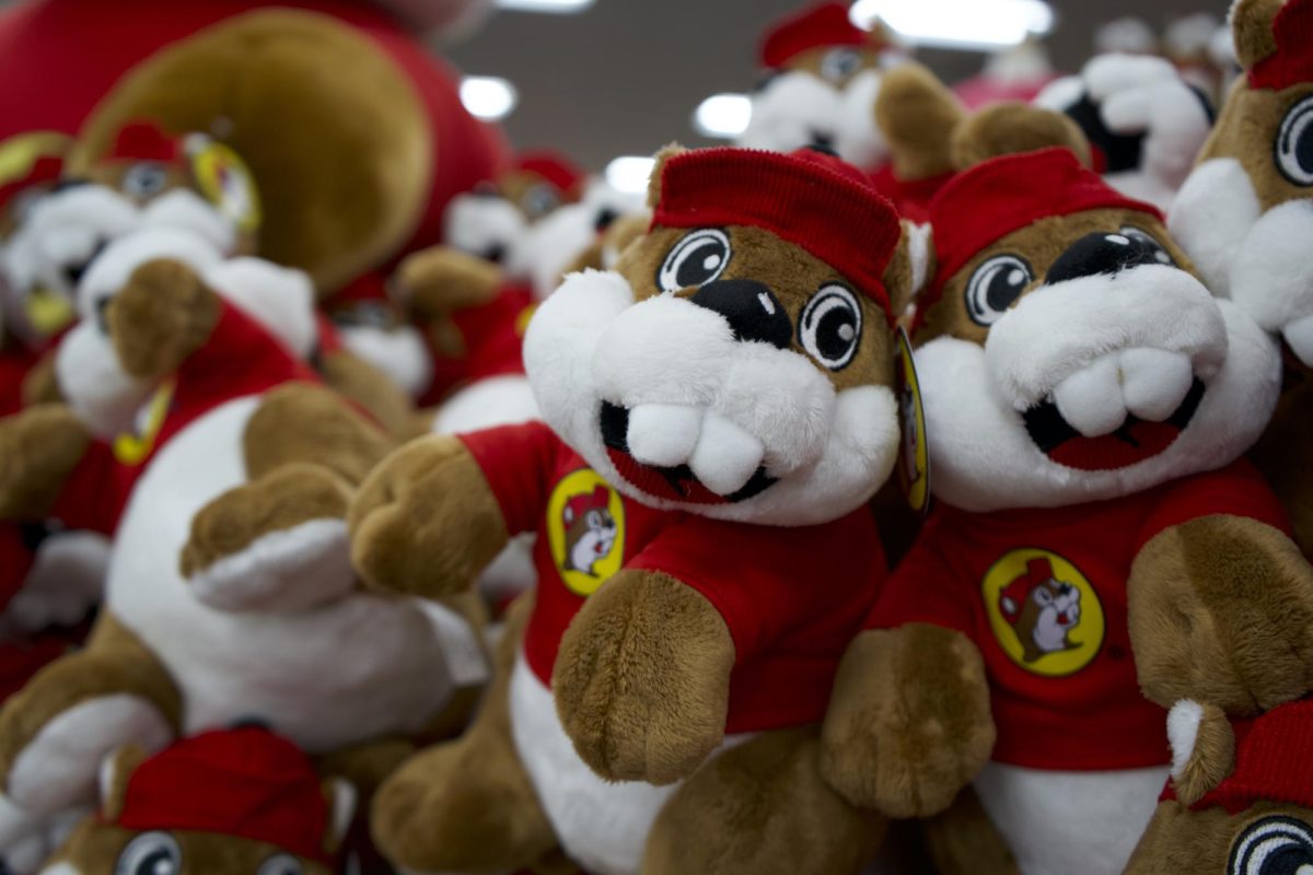 A collection of Buc-ee the Beaver stuffed animals in a display inside the brand-new Buc-ees in Johnstown, Colorado, March 18.