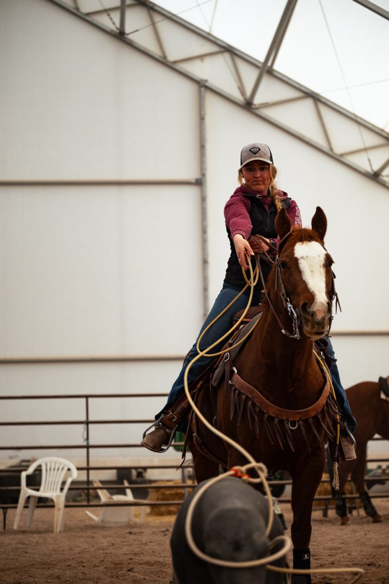 Ryley Hasenack practices roping with a dummy at a Colorado State University rodeo team practice in Nuun, Colorado.