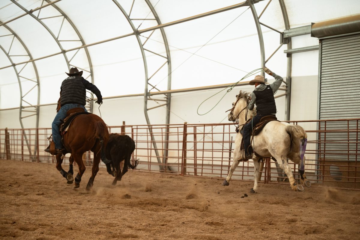 Ral’shaun Descheny and Diego Rolon practice roping at a Colorado State University rodeo team practice in Nuun, Colorado.