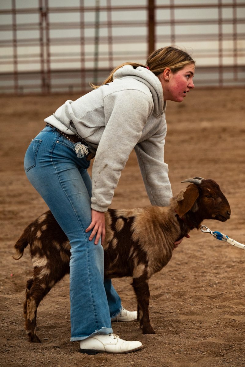Mckinlee May holds a goat for her teammate to practice goat tying at a Colorado State University rodeo practice in Nuun, Colorado.