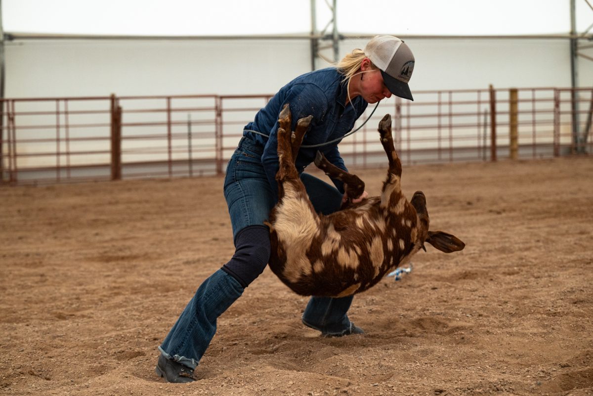 Sadie Johnson practices goat tying at a Colorado State University rodeo team practice in Nuun, Colorado.