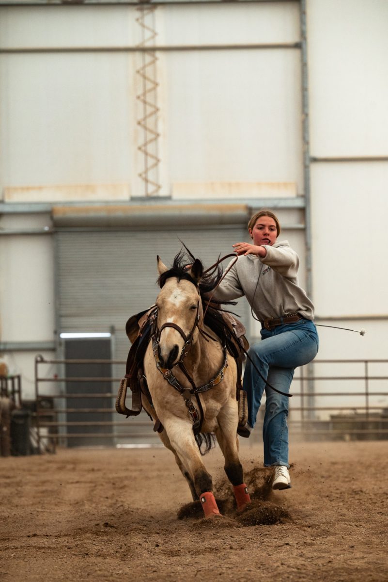 Mckinlee May jumps from her horse to practice goat tying at a Colorado State University rodeo team practice in Nuun, Colorado.