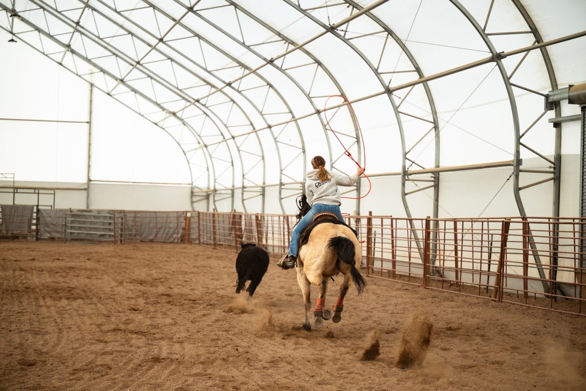Mckinlee May practices roping at a Colorado State University rodeo team practice in Nuun, Colorado.