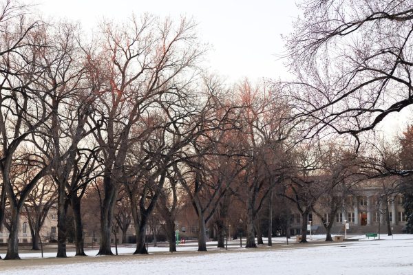 The Colorado State University Oval faces south east toward the Administration Building March 9.