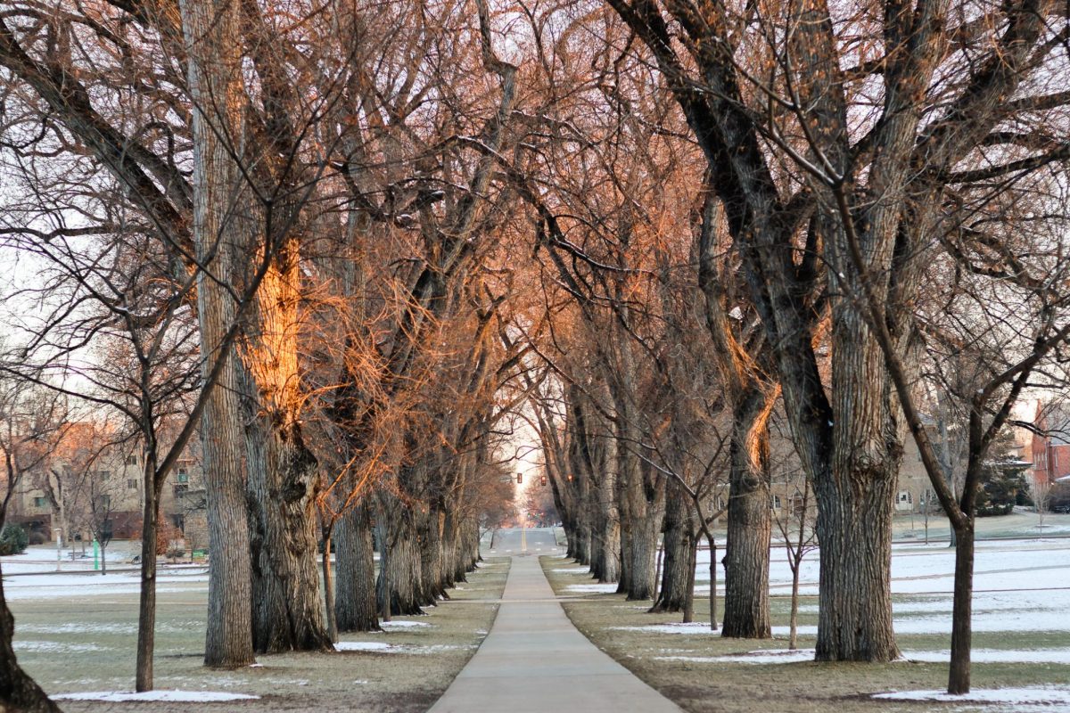 The CSU Oval facing north towards Laurel Street, March 9.