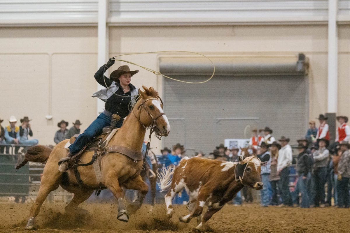 Amanda+Sellin+of+Chadron+State+College+competes+in+team+roping+at+Colorado+State+Universitys+73rd+annual+Skyline+Stampede+held+at+MAC+Indoor+Arena%2C+April+6.