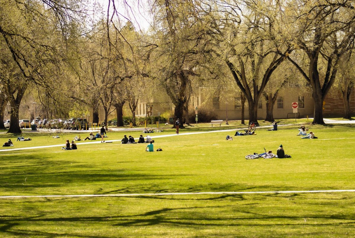 Students flock to the Oval to catch a glimpse of the partial solar eclipse on April 8, 2024. "I hope the cute dogs at the Oval were able to watch the eclipse too," said student Andreas Broxson. 