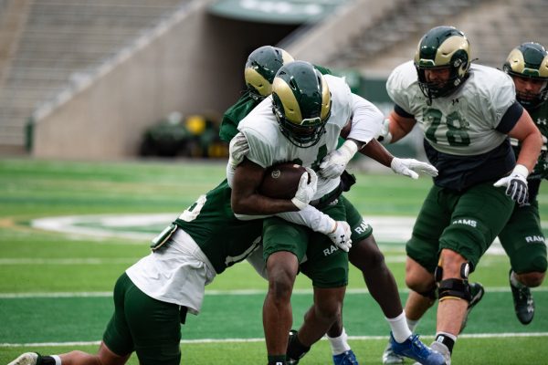 Redshirt freshman Damian Henderson II (34) is tackled during a spring football practice.